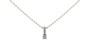 018 Diamond Loop Necklace |1